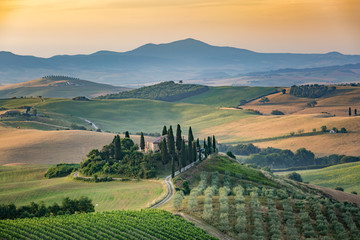 The Tuscan Landscape
