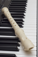 The Flute On The Synthesizer