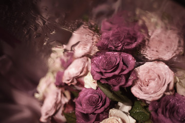 a bouquet of roses in drops of dew, soft lilac purple color, soft blurred image. Soft focus,...