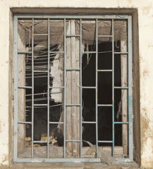 broken window with bars and a cat inside