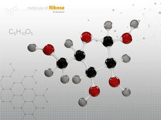 3d illustration of ribose molecular structure isolated white