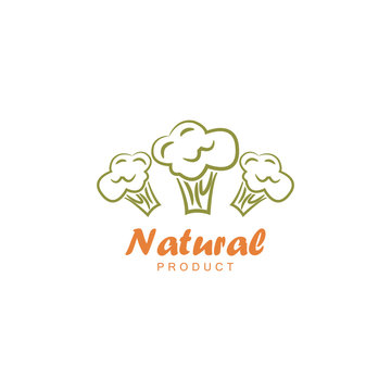Natural product logo design vector template. Broccoli icon