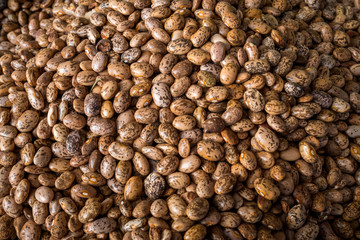 Spotted beans background