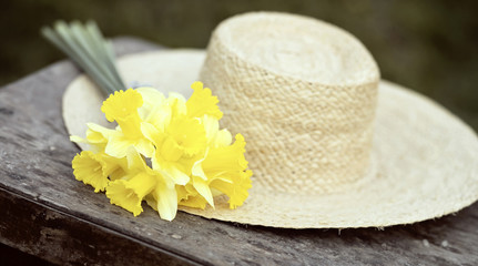 Website banner of beautiful Easter daffodil flowers and a straw hat in Spring