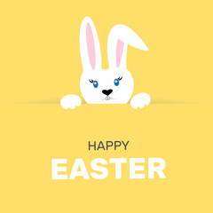 Easter bunny on a colored background