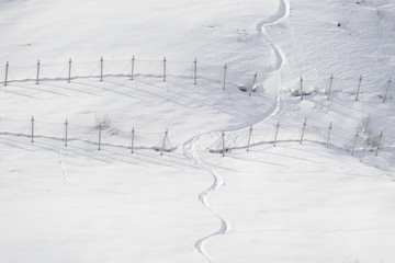 Avalanche Fence Skier