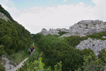 Obraz premium tourism