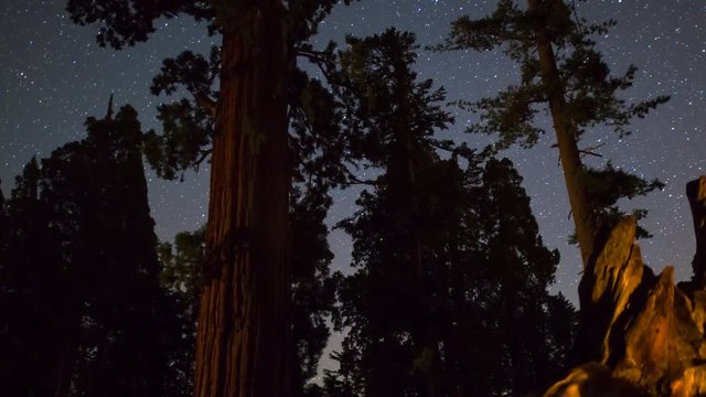 MoCo Astro Timelapse Tracking Shot of Stars over Grant Grove in Sequoia LongCrop