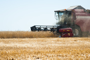 Combine harvesters in a field of wheat