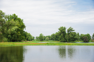 Summer landscape on the river bank