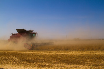 Combine harvesters in a field of wheat