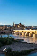 Obraz premium Roman bridge in Cordoba, Andalusia, southern Spain.