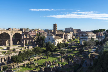 Fototapeta na wymiar Roman ruins of the Palatino in Rome, Italy