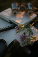 vintage pearl operaglasses and notepads