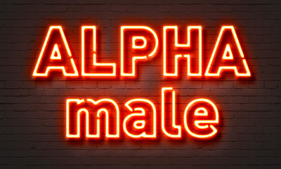 Fototapeta premium Alpha male neon sign on brick wall background.