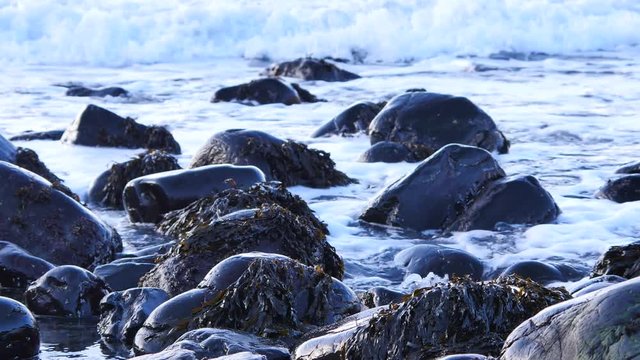 Black rounded stones in Talisker bay on west coast of the Isle of Skye in Scotland during evening rising tide. Big waves crashing against to offshore. Foamy sea level. Tourist resort. 