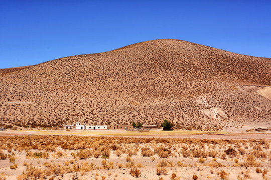 Indigenous House On Argentine Puna