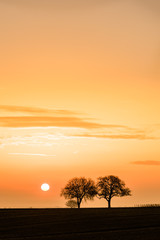 Fototapeta na wymiar Landschaft mit Bäumen bei Sonnenaufgang