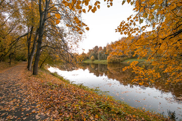 Obraz na płótnie Canvas Autumn and Lake