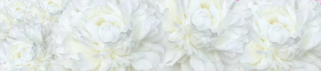 Foto op Plexiglas  panorama  white peonies © lms_lms