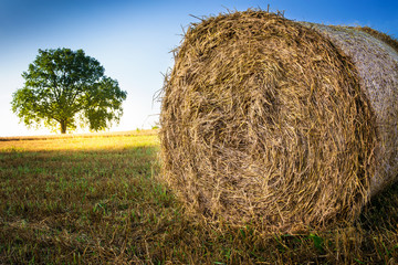 Haystack on a field of stubble. August countryside landscape. Masuria, Poland..