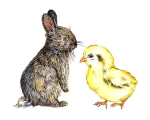 Gray fluffy hare (rabbit) and small yellow chick, isolated hand painted naturalistic watercolor illustration