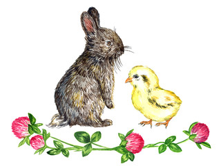 Gray fluffy hare (rabbit) and small yellow chick  with clover flowers decoration, isolated hand painted naturalistic watercolor illustration