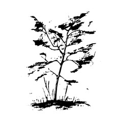 black tree silhouette isolated on white background