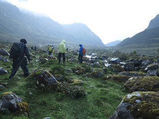 Obraz premium Peru -Trekking over bog in rain