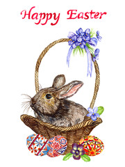 Easter bunny in basket with eggs with traditional painting, chick and spring flowers: pansies and violets, design for card "Happy Easter", hand painted watercolor illustration