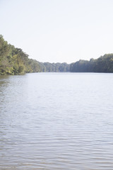 Beautiful Lake Shore