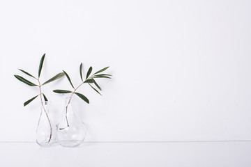 Two olive branches in glass bottles