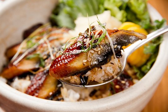 jangeo deopbap. Rice with Grilled Eel
