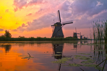 Windm&uuml;hlen von Kinderdijk