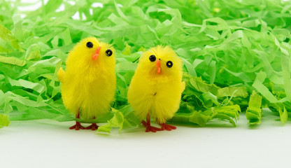 Easter Eggs on green paper with chicken