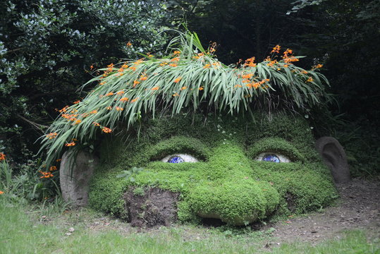 gnomo