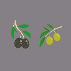 Zeytin Dalı