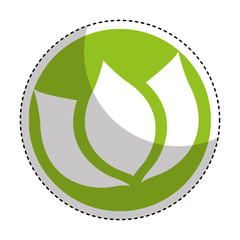 cute flower emblem icon vector illustration design