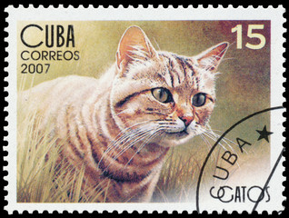 Stamp printed in Cuba shows domestic cat
