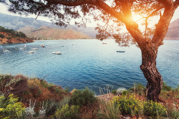 The picturesque sunset. View of the boats at sea. Turkey