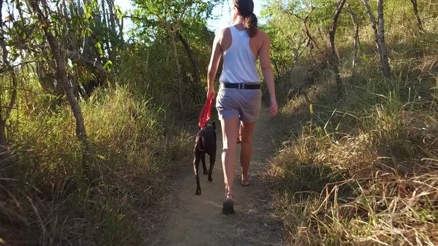 Mother, child and dog hiking on a trail at sunset in the Virgin Islands