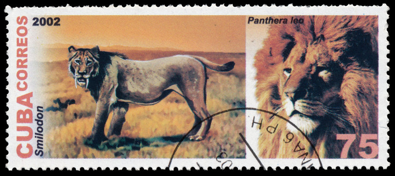 Stamp printed in CUBA shows image of lion