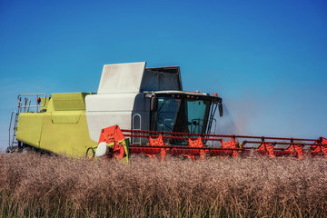 Obraz premium Combine Harvester on a Wheat Field. Agriculture