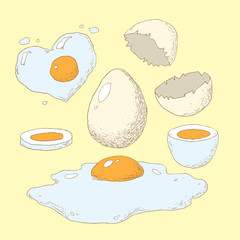 Fried, boiled and raw eggs, vector illustration