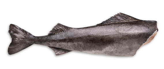 black cod