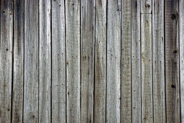 Текстура дерева