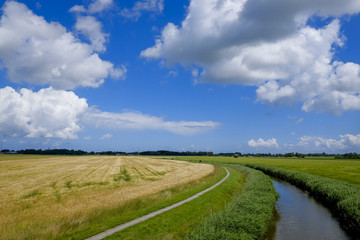 agricultural landscape with wheat and a stream