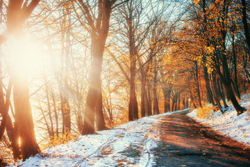 First snow in the forest. Beauty world. Road