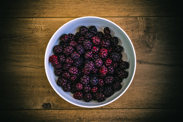 Mulberries in Tasmania