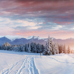 the winter road. Dramatic scene. Carpathian, Ukraine, Europe